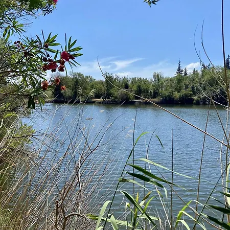 Mezzanine Avec Terrasse A Saint-aygulf, Proche - Fr-1-226a-207 *